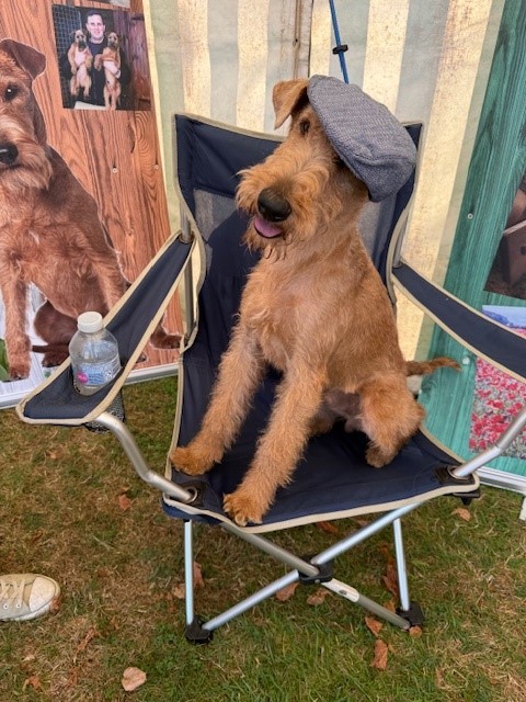2025 Wiltshire Game & Country Fair