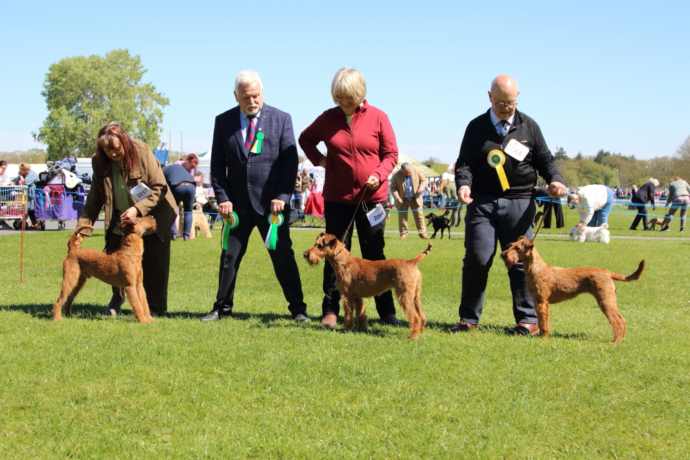 2026 WELKS ~ Judge: Mr M P Phillips